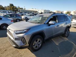 Toyota rav4 salvage cars for sale: 2023 Toyota Rav4 XLE