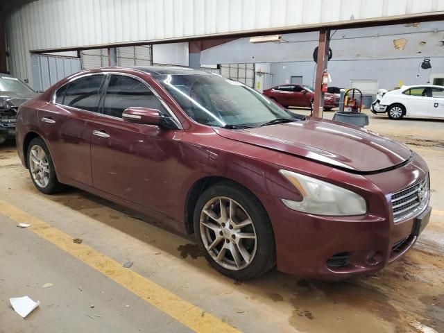 2010 Nissan Maxima S