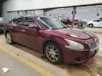 2010 Nissan Maxima S