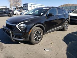 Salvage cars for sale at Albuquerque, NM auction: 2023 KIA Sportage LX