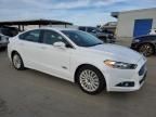 2016 Ford Fusion SE Phev