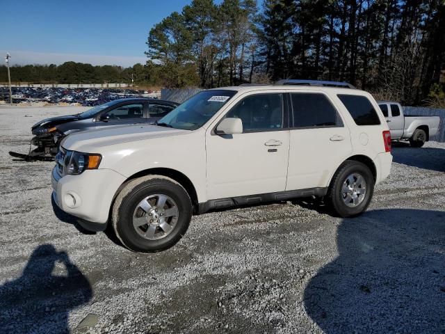 2011 Ford Escape Limited