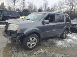 Salvage cars for sale at Waldorf, MD auction: 2011 Honda Pilot EXL