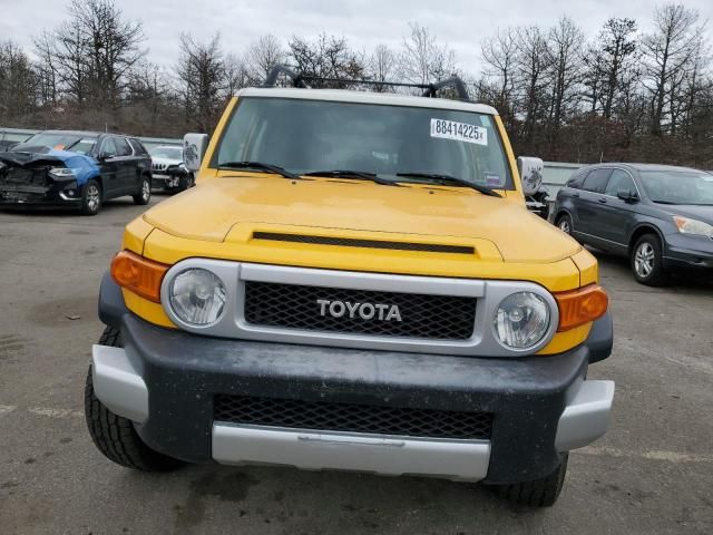 2007 Toyota FJ Cruiser