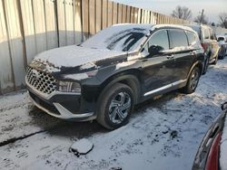 Salvage cars for sale at Wichita, KS auction: 2023 Hyundai Santa FE SEL Premium