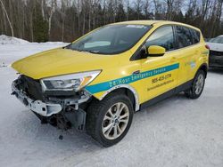 Salvage cars for sale from Copart Cookstown, ON: 2019 Ford Escape SE