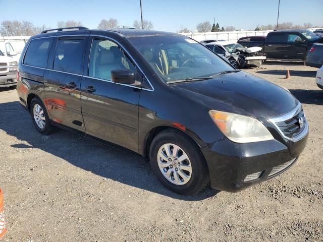 2008 Honda Odyssey EXL