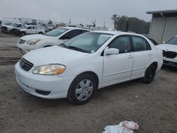 Salvage cars for sale at Apopka, FL auction: 2004 Toyota Corolla CE