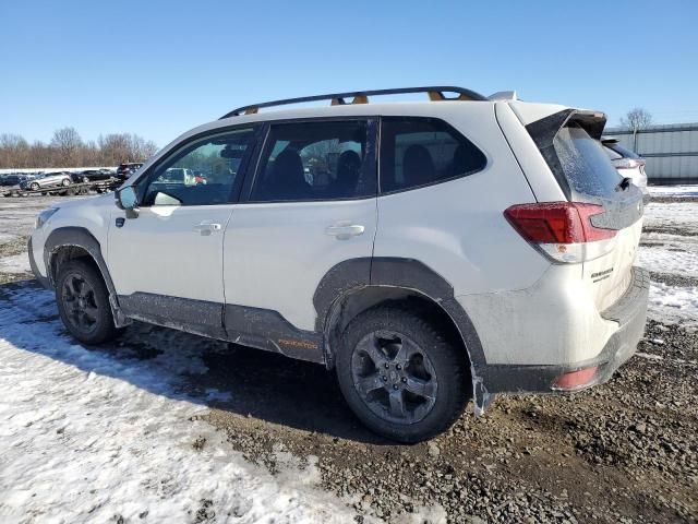 2023 Subaru Forester Wilderness