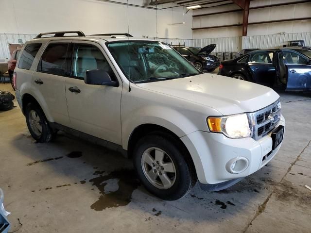 2009 Ford Escape XLT