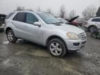 2006 Mercedes-Benz ML 500