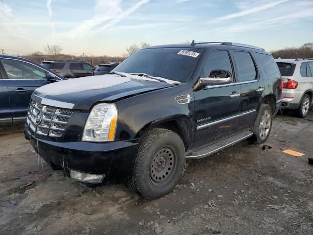 2010 Cadillac Escalade Luxury