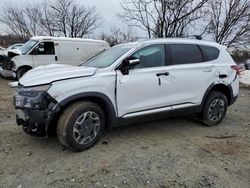 Salvage Cars with No Bids Yet For Sale at auction: 2023 Hyundai Santa FE Blue