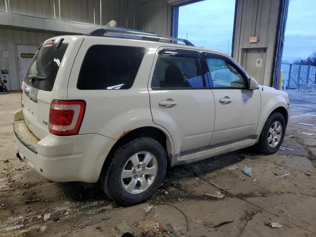 2010 Ford Escape Limited