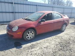 Carros salvage a la venta en subasta: 2005 Dodge Neon SXT