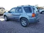 2007 Ford Escape HEV