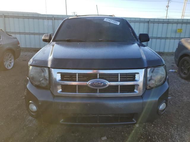 2008 Ford Escape XLT