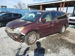 Salvage cars for sale at Riverview, FL auction: 2010 Honda Odyssey EXL