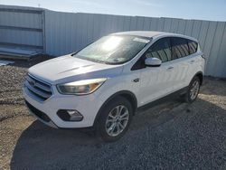 Salvage cars for sale at Riverview, FL auction: 2017 Ford Escape SE