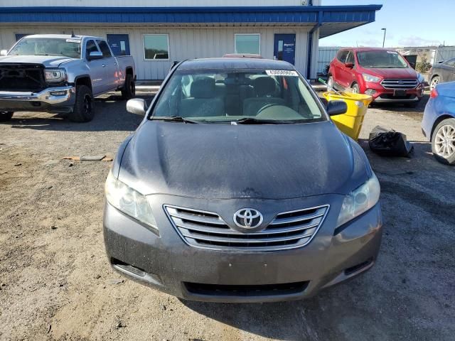 2009 Toyota Camry Hybrid