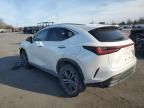 2023 Lexus NX 450H