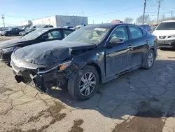 KIA Optima salvage cars for sale: 2016 KIA Optima LX