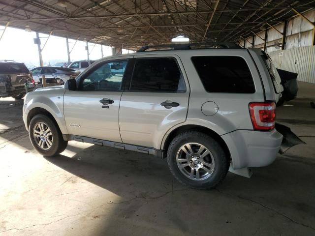 2008 Ford Escape XLT