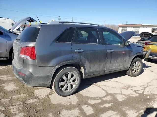 2011 KIA Sorento Base