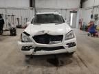 2010 Mercedes-Benz GL 450 4matic