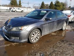 Honda Accord ex salvage cars for sale: 2013 Honda Accord EX