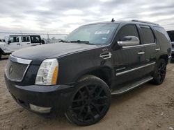 Salvage cars for sale at auction: 2011 Cadillac Escalade Luxury