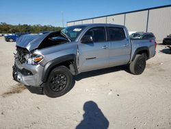 Salvage cars for sale from Copart Apopka, FL: 2023 Toyota Tacoma Double Cab