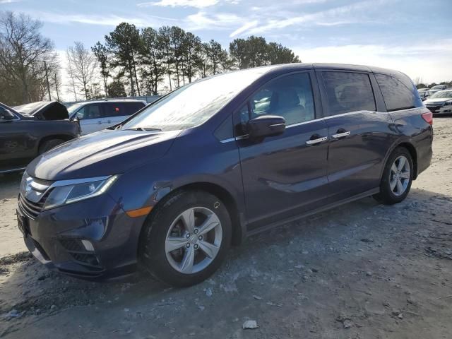 2019 Honda Odyssey EXL