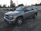 2007 Chevrolet Trailblazer LS