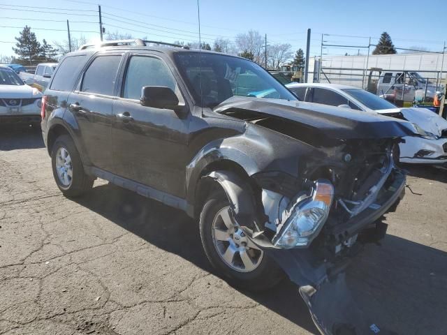 2011 Ford Escape Limited