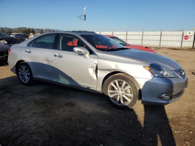 2010 Lexus ES 350