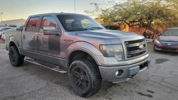 Ford salvage cars for sale: 2013 Ford F150 Supercrew