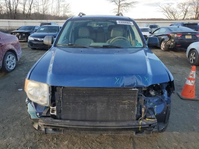 2008 Ford Escape XLT