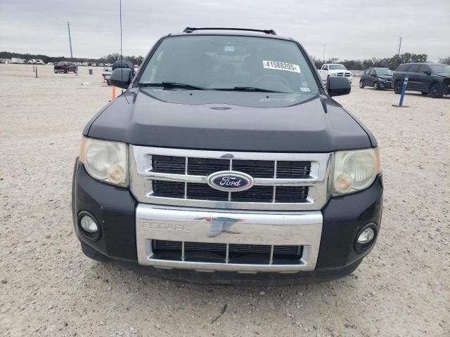 2011 Ford Escape Limited