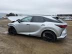 2024 Lexus RX 500H F Sport