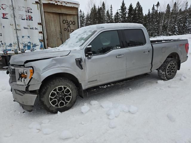 2023 Ford F150 Supercrew