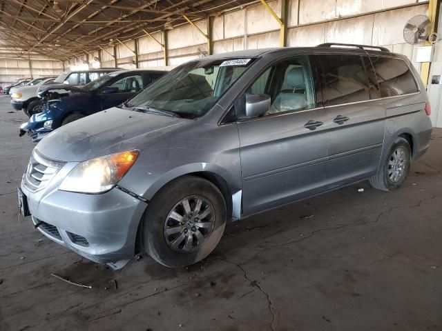 2010 Honda Odyssey EXL