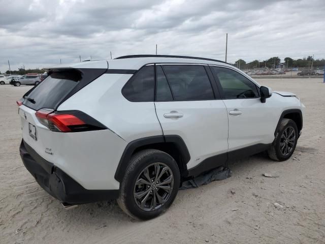 2023 Toyota Rav4 XLE Premium