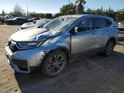 Honda salvage cars for sale: 2020 Honda CR-V EX