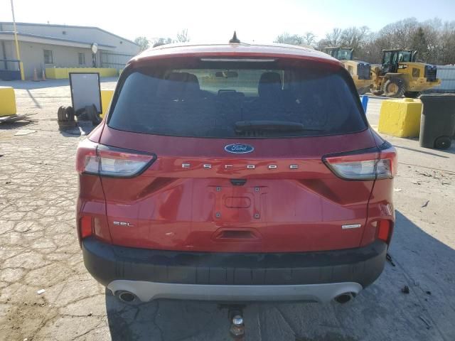 2020 Ford Escape SEL