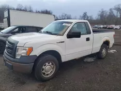 Ford f150 salvage cars for sale: 2013 Ford F150