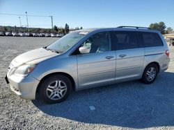 Salvage cars for sale at Mentone, CA auction: 2006 Honda Odyssey EXL