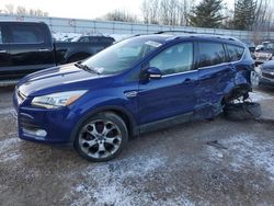 Salvage cars for sale at Davison, MI auction: 2013 Ford Escape Titanium