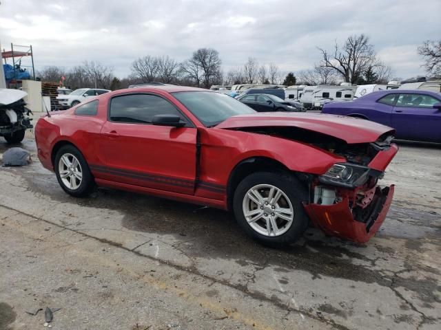 2013 Ford Mustang