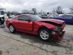 2013 Ford Mustang